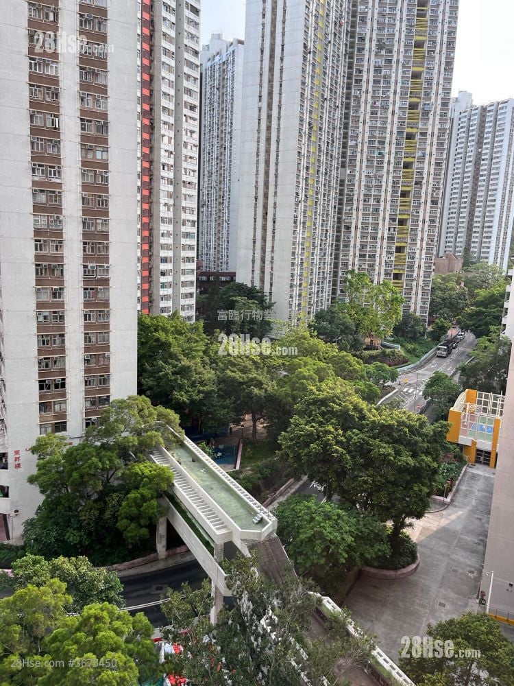 渔安苑 租盘 2 房 , 1 浴室 469 平方尺