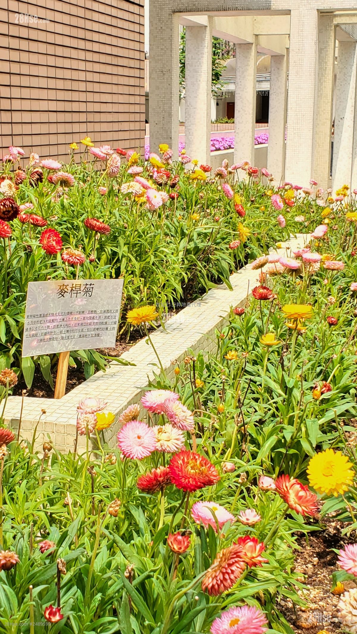 丹拿花園 售盤 3 房 , 2 浴室 674 平方呎