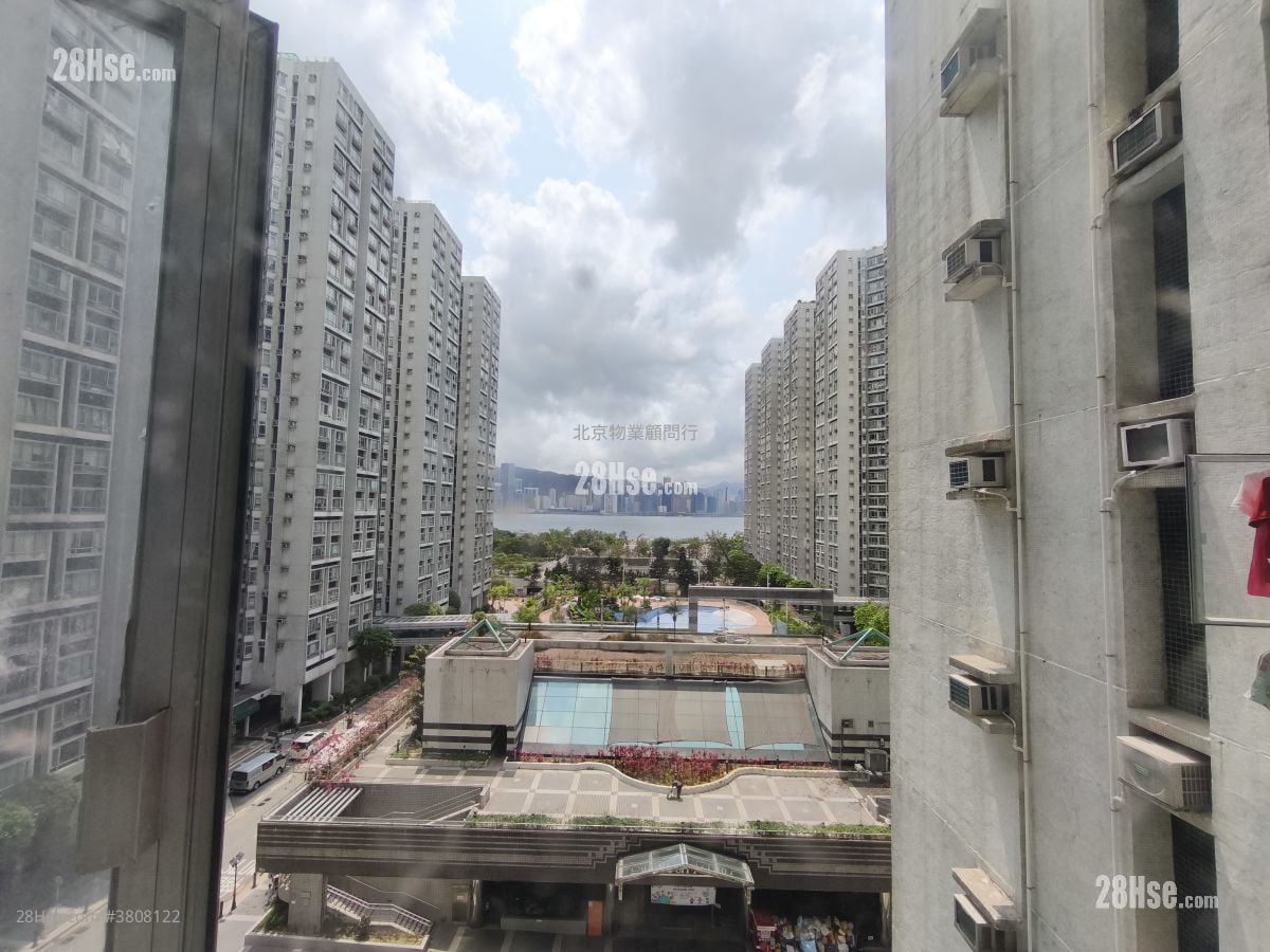 丽港城 租盘 2 房 , 1 浴室 517 平方尺