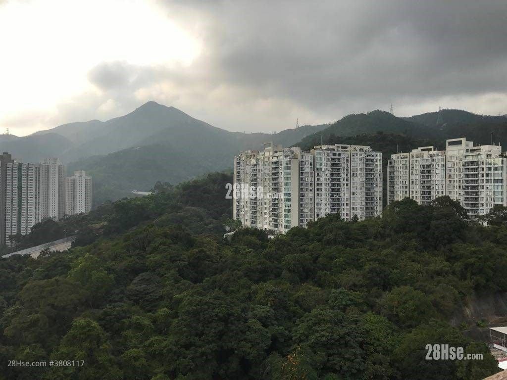 The Great Hill Sell 4 Bedrooms , 2 Bathrooms 2,295 ft²