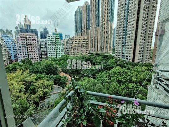 Metro Harbour View Sell 2 Bedrooms , 1 Bathroom 488 ft²