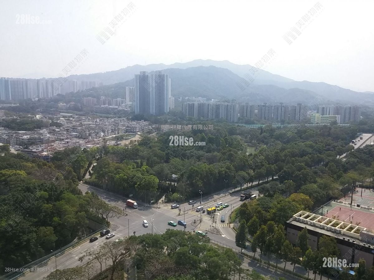 天平村 售盘 531 平方尺