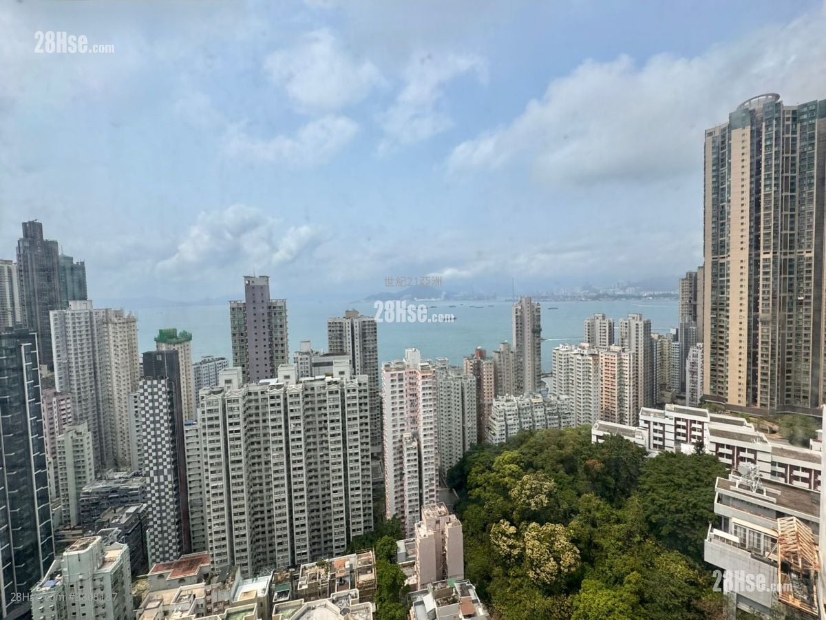 Academic Terrace Rental 2 Bedrooms , 1 Bathroom 531 ft²