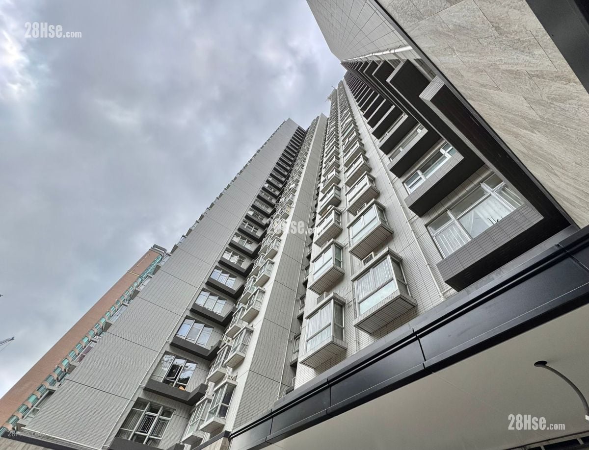 Academic Terrace Rental 2 Bedrooms , 1 Bathroom 531 ft²