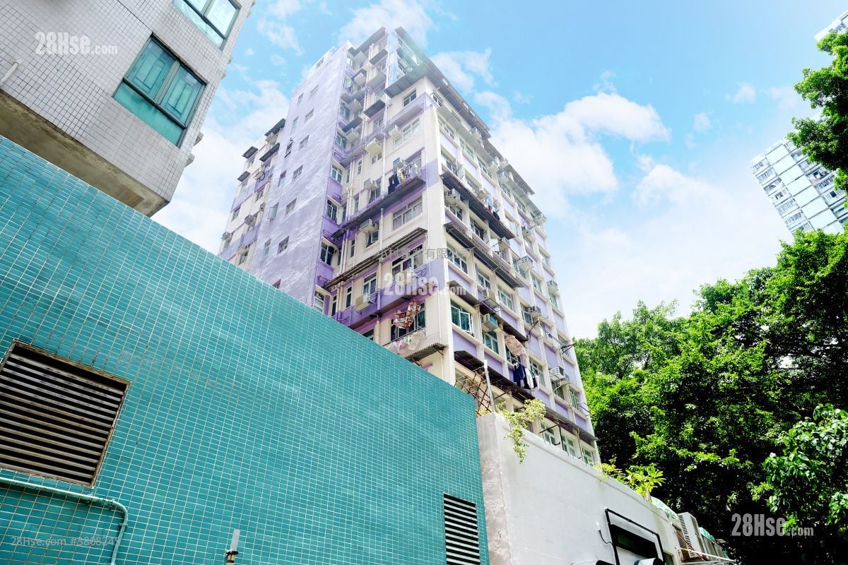 大厦外观: 百宁大厦 租盘 1 房 , 1 浴室 338 平方尺