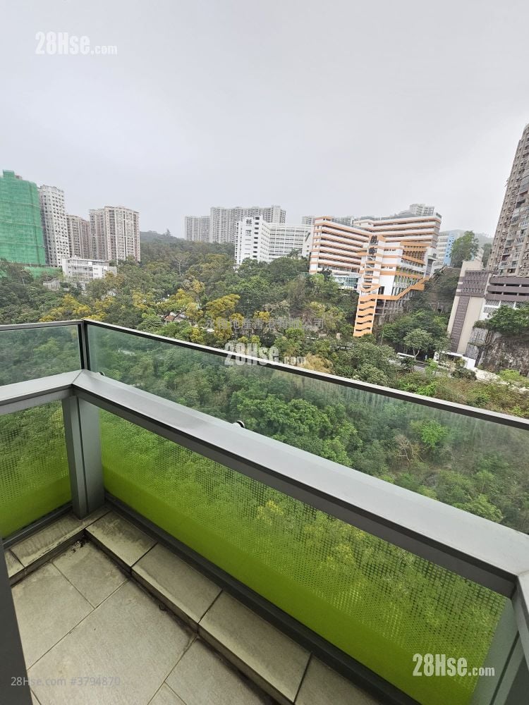 形品 租盘 1 房 , 1 浴室 363 平方尺