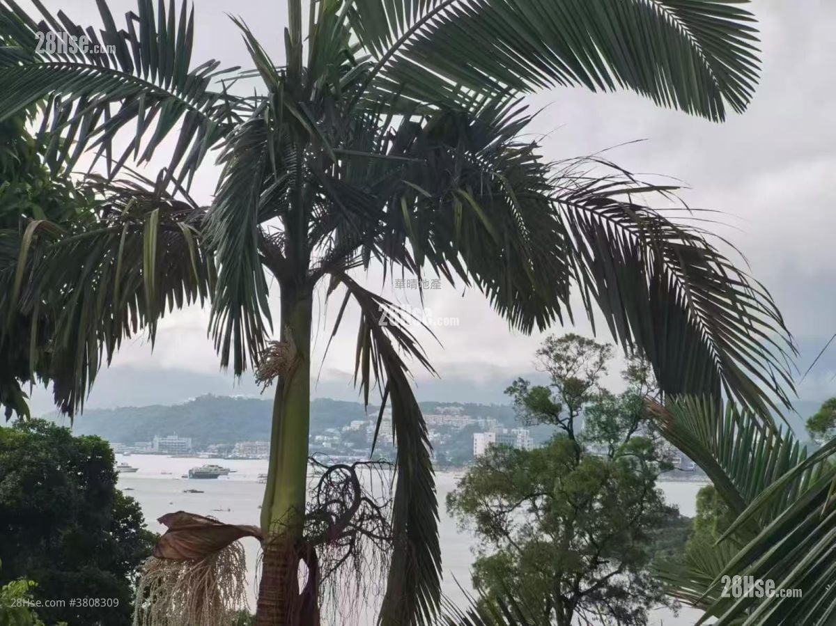 Welldo Villa Sell 4,200 ft²