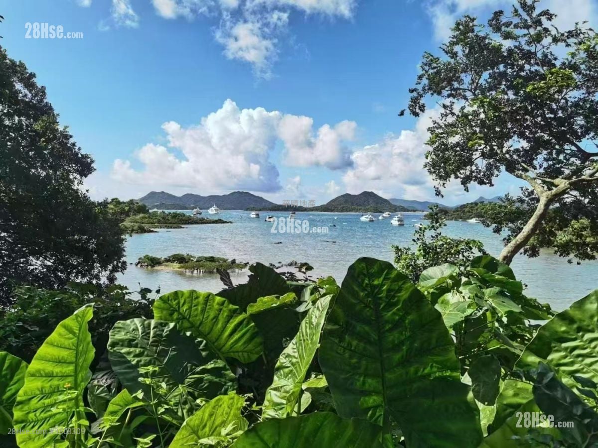 Welldo Villa Sell 4,200 ft²