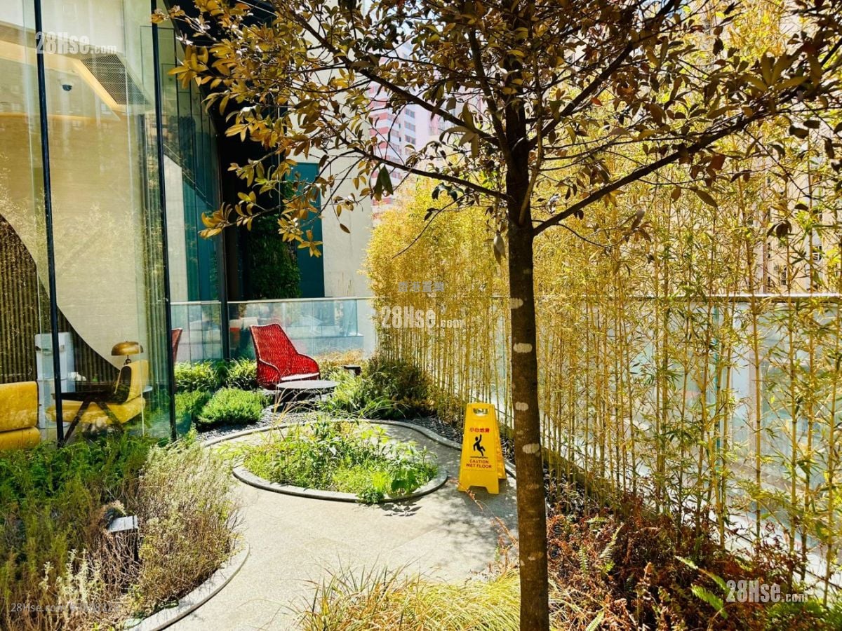 傲華 租盤 2 房 , 1 浴室 456 平方呎