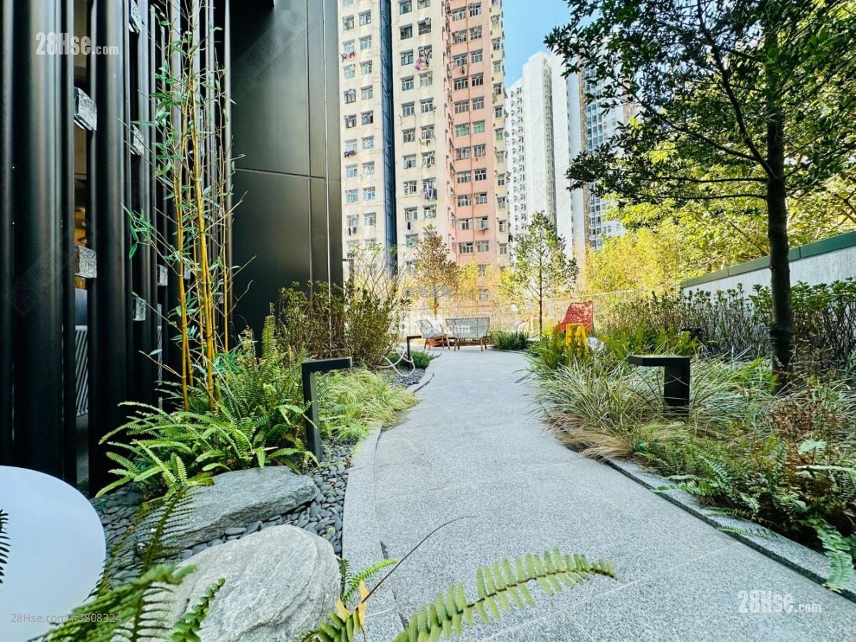 傲華 租盤 2 房 , 1 浴室 456 平方呎