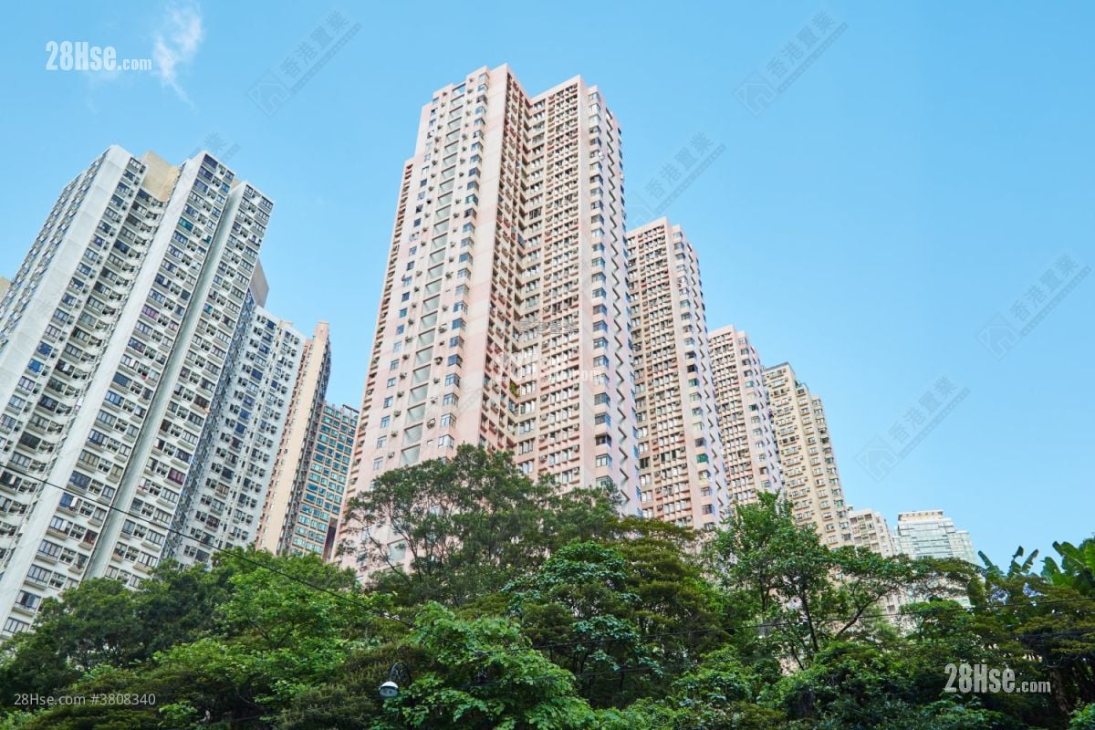 富泽花园 租盘 3 房 , 2 浴室 738 平方尺