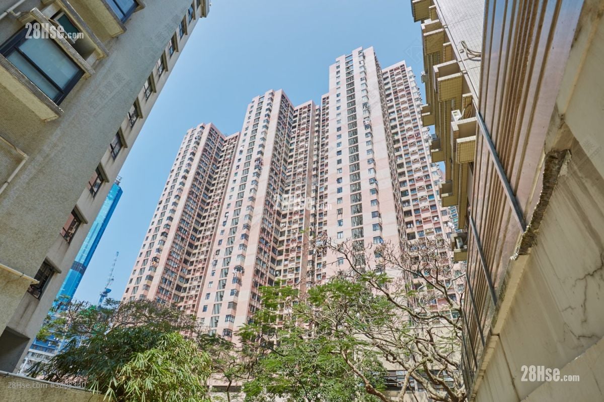 富泽花园 租盘 3 房 , 2 浴室 738 平方尺