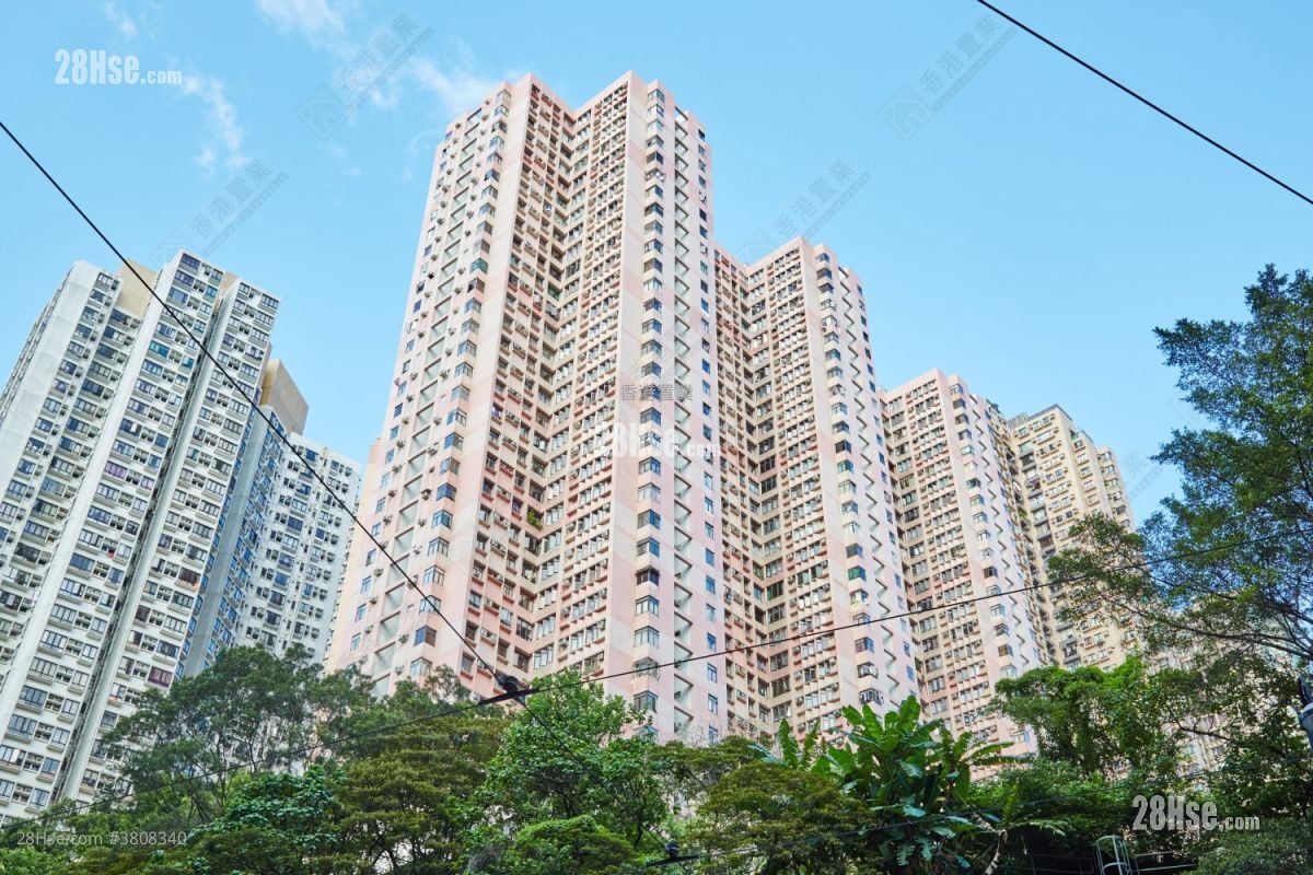 富泽花园 租盘 3 房 , 2 浴室 738 平方尺