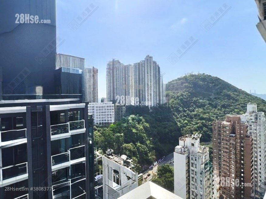 倚南 售盘 3 房 , 1 浴室 566 平方尺