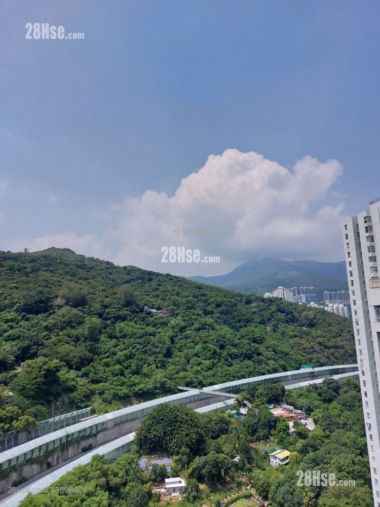 翠涛阁 租盘 2 房 , 1 浴室 477 平方尺