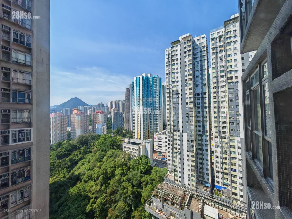 汇景花园 租盘 2 房 , 1 浴室 537 平方尺