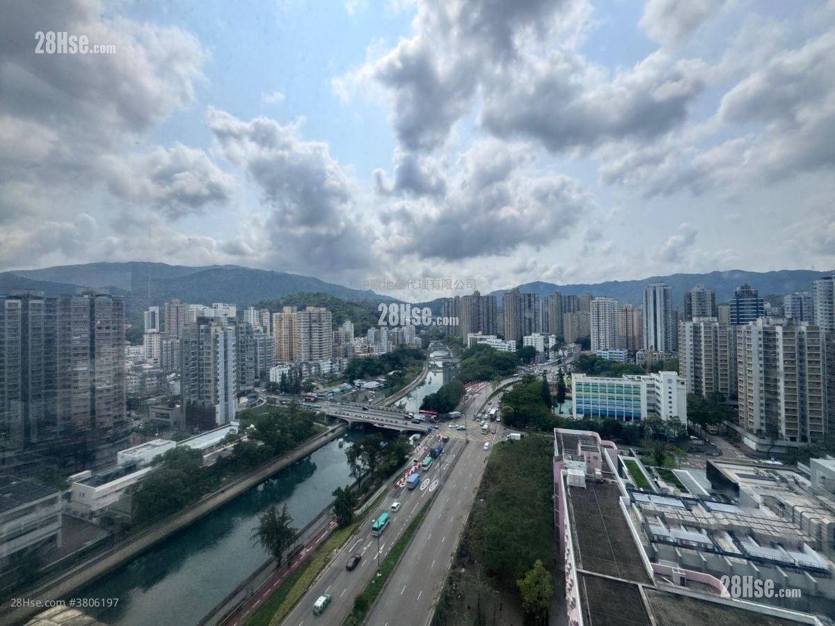 大埔中心 售盘 1 房 299 平方尺