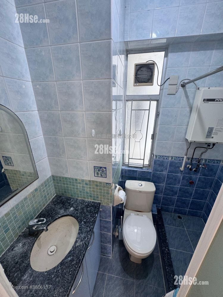 大埔中心 售盘 1 房 299 平方尺