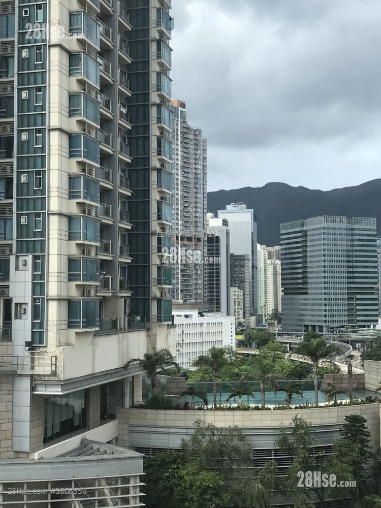 Apartment Rental Studio , 1 Bathroom 182 ft²