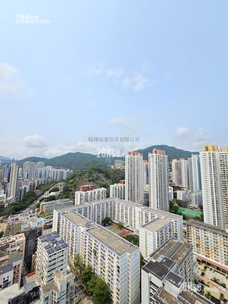 晓尚 租盘 1 房 , 1 浴室 332 平方尺