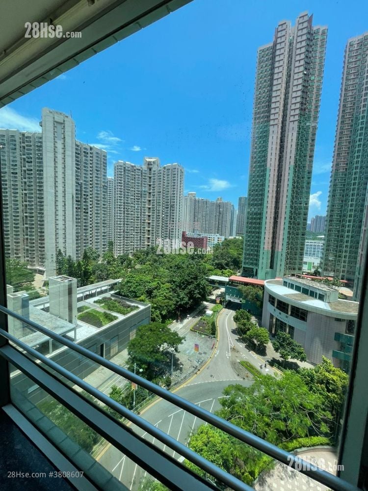 新都城 租盘 3 房 , 2 浴室 526 平方尺