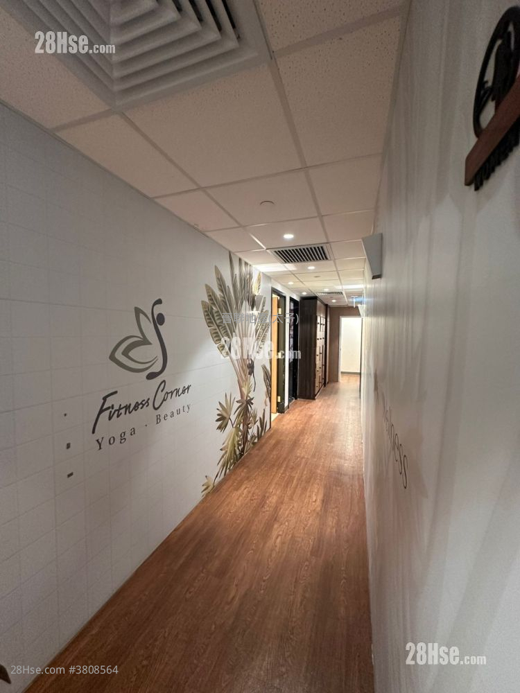 宝安商业大厦 租盘