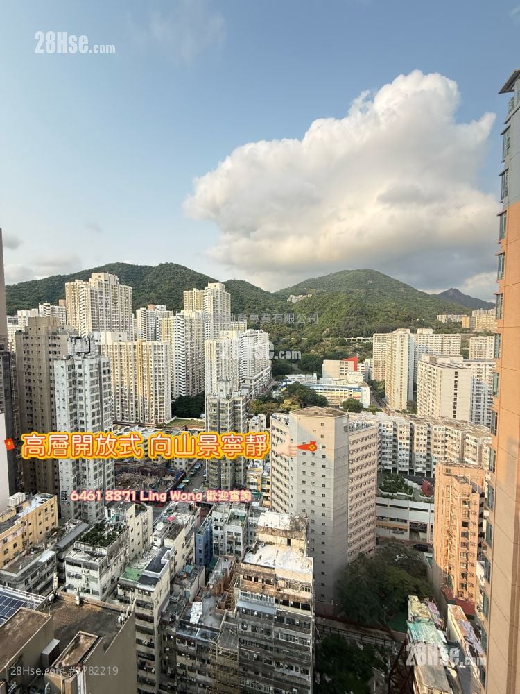 家壹 租盘 开放式间隔 , 1 浴室 226 平方尺