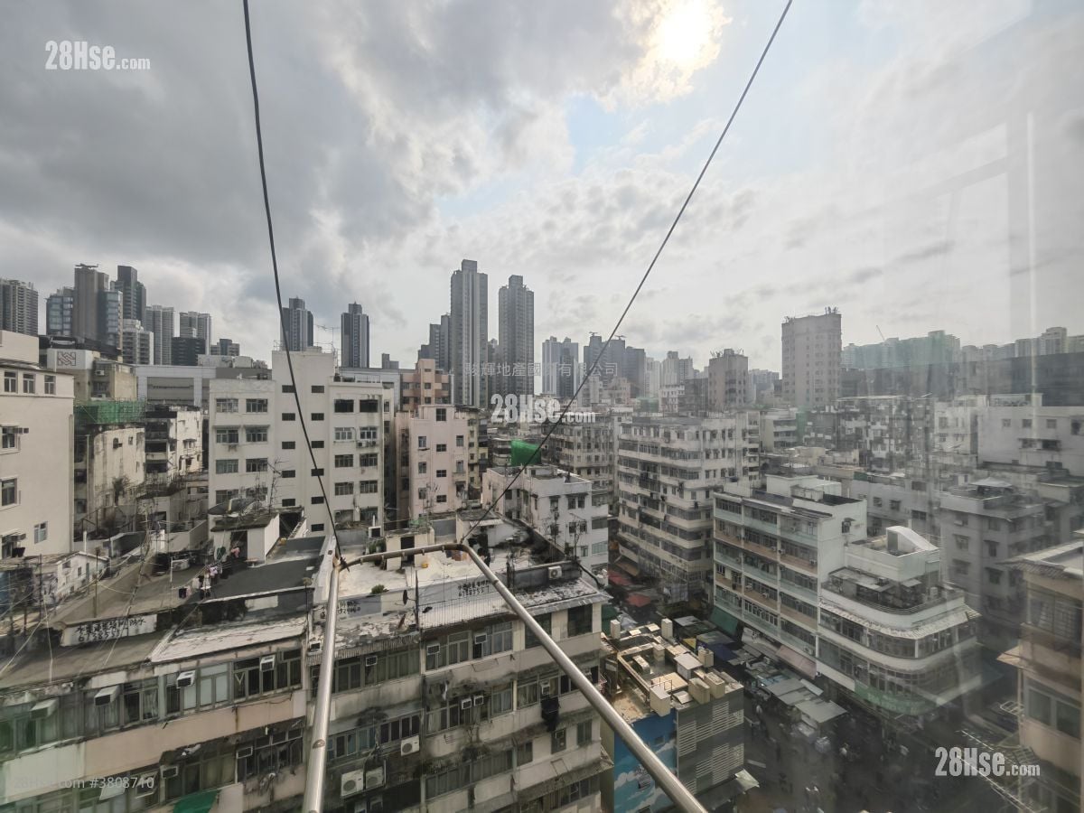 Houston Court Rental 1 Bedroom , 1 Bathroom 240 ft²