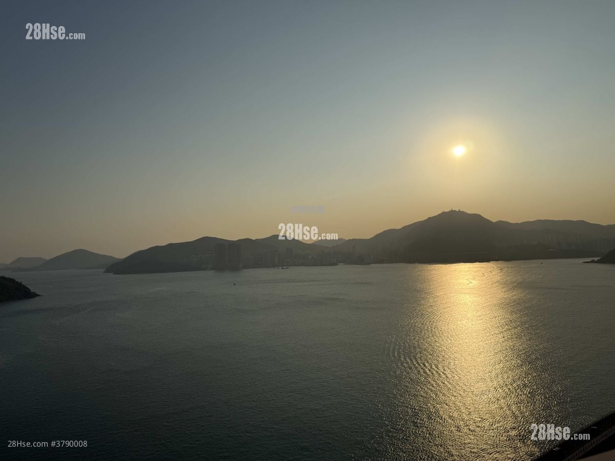 LP10 售盘 4 房 1,204 平方尺