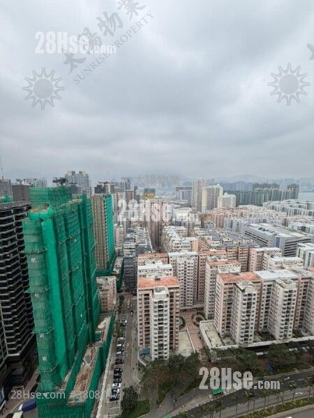 半岛豪庭 租盘 1 房 442 平方尺