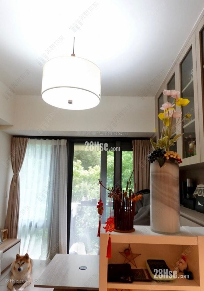 天钻 售盘 1 房 373 平方尺