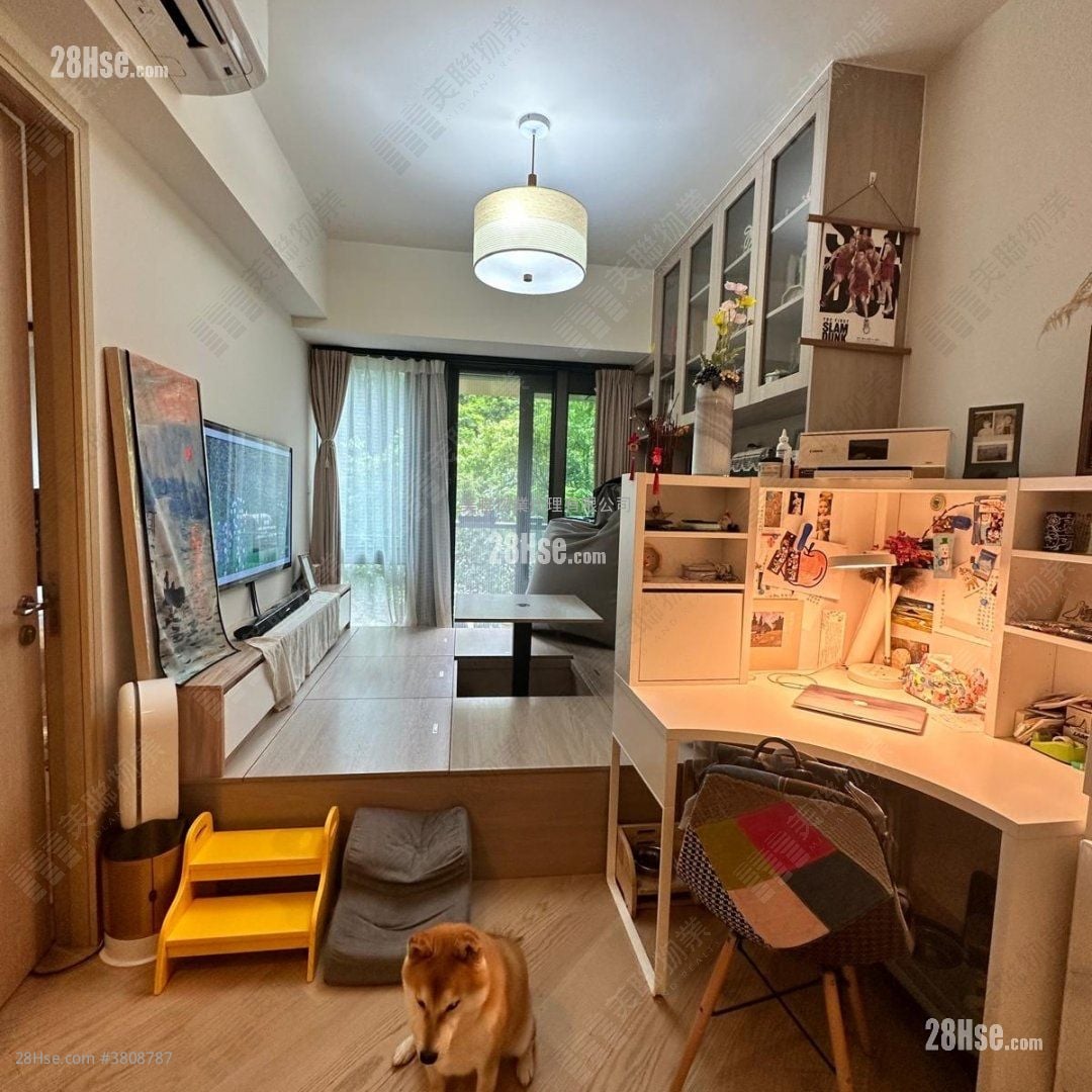 天钻 售盘 1 房 373 平方尺