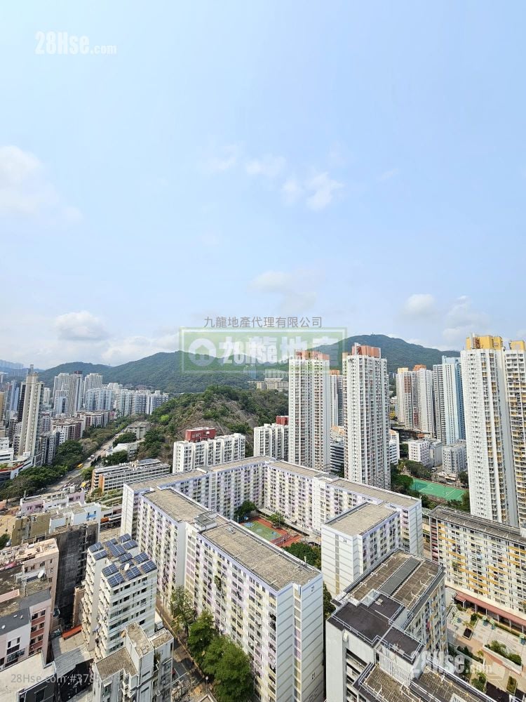 晓尚 租盘 1 房 , 1 浴室 335 平方尺