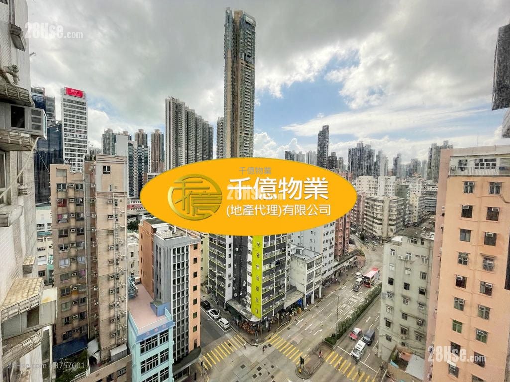 单幢楼房 售盘 2 房 322 平方尺