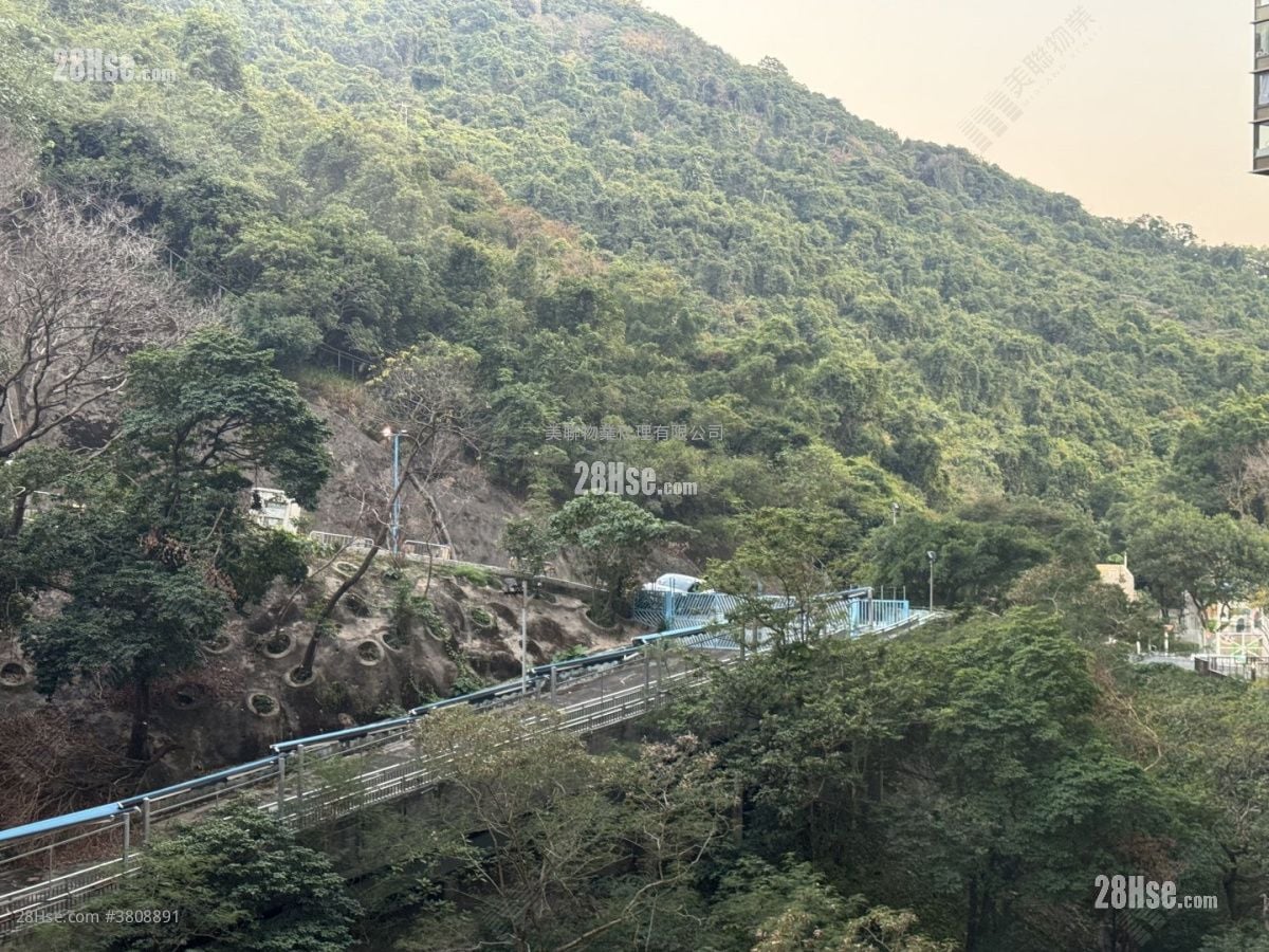 Island Garden Rental 3 Bedrooms , 2 Bathrooms 845 ft²