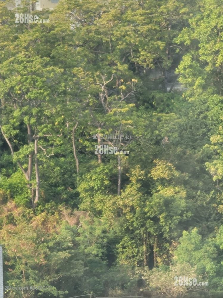 Ying Fuk Court Sell 1 Bedroom , 1 Bathroom 559 ft²