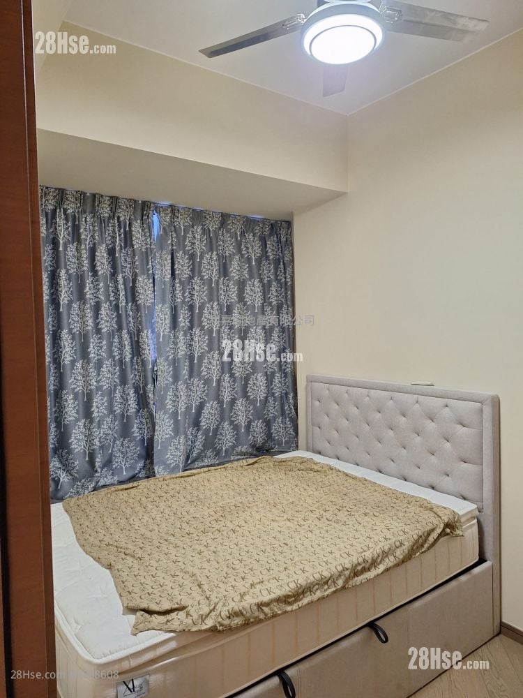 晓盈 售盘 1 房 295 平方尺