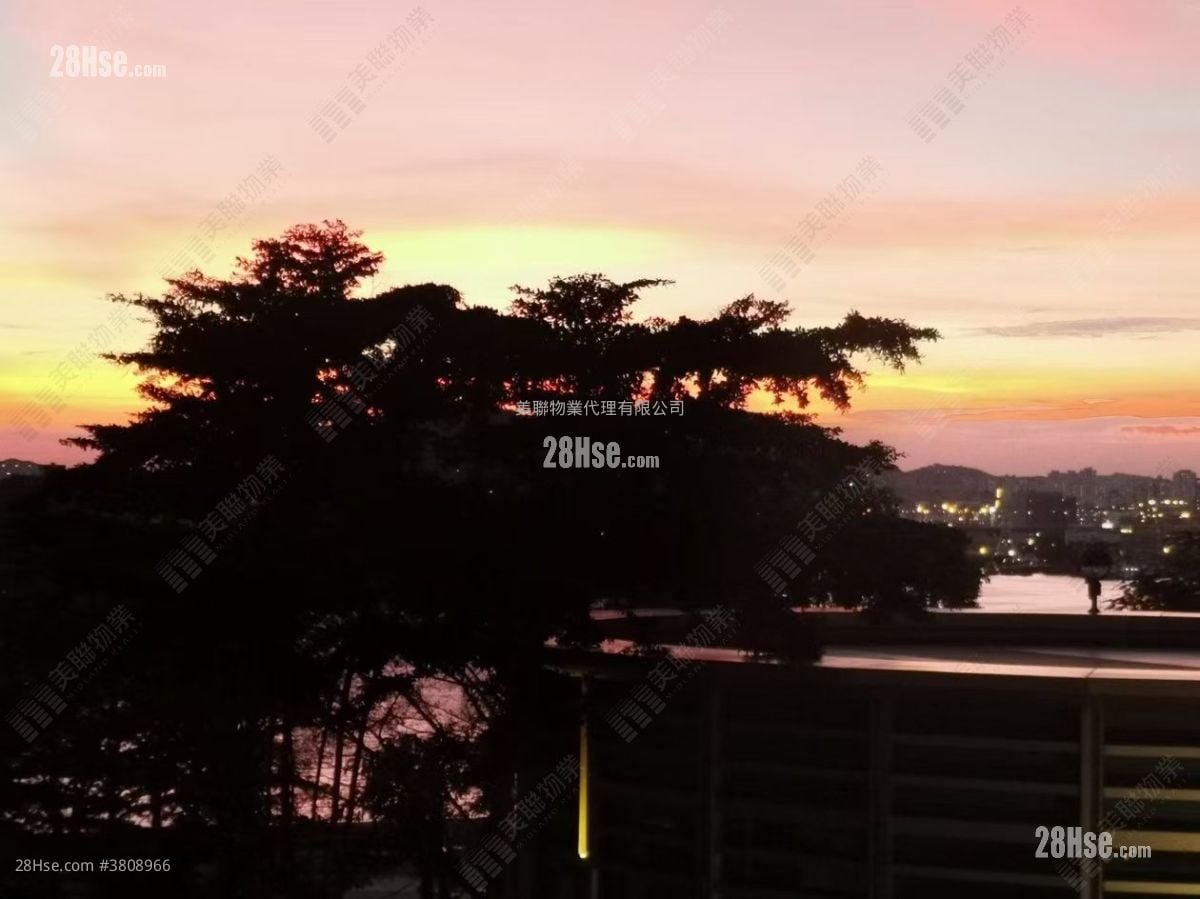 The Long Beach Sell 2 Bedrooms , 1 Bathroom 547 ft²