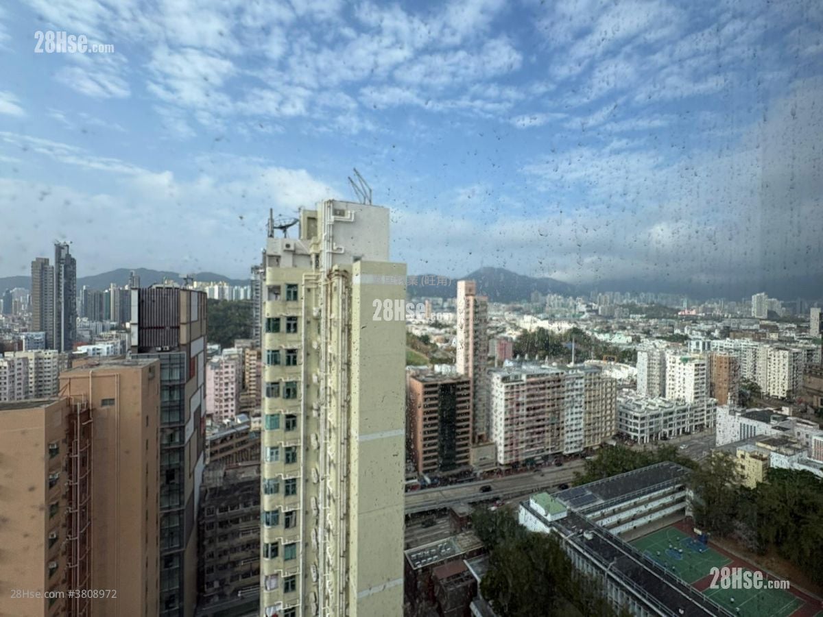 Elize Park Rental 3 Bedrooms , 1 Bathroom 438 ft²