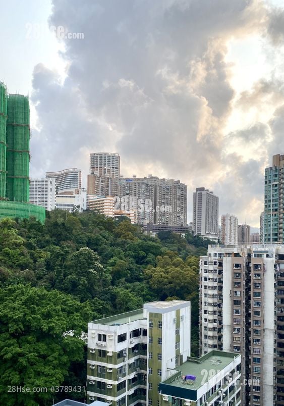 柏蔚山 租盘 3 房 , 2 浴室 781 平方尺