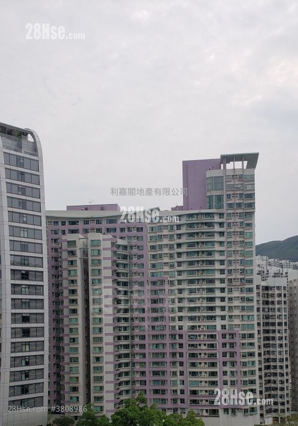 逸意居 售盤 3 房 898 平方呎