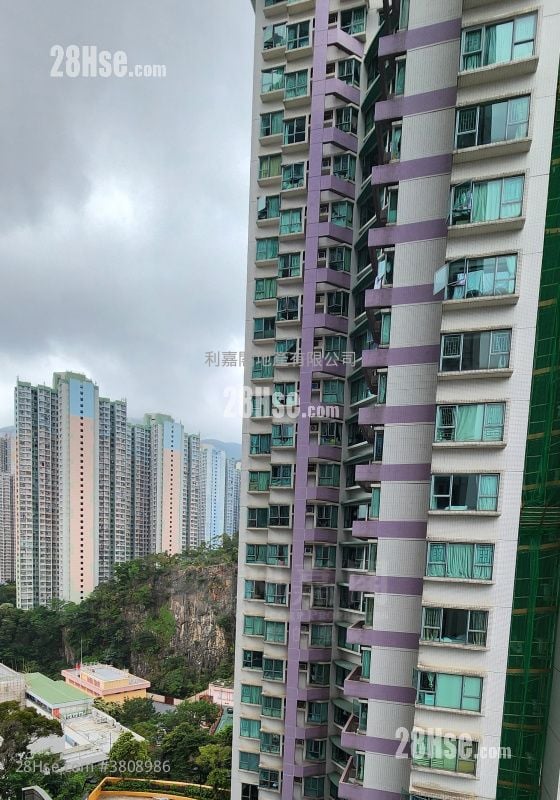 逸意居 售盤 3 房 898 平方呎