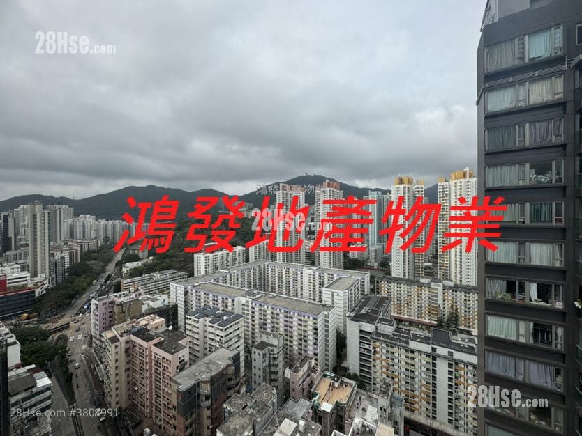 AVA61 租盘 开放式间隔 , 1 浴室 150 平方尺