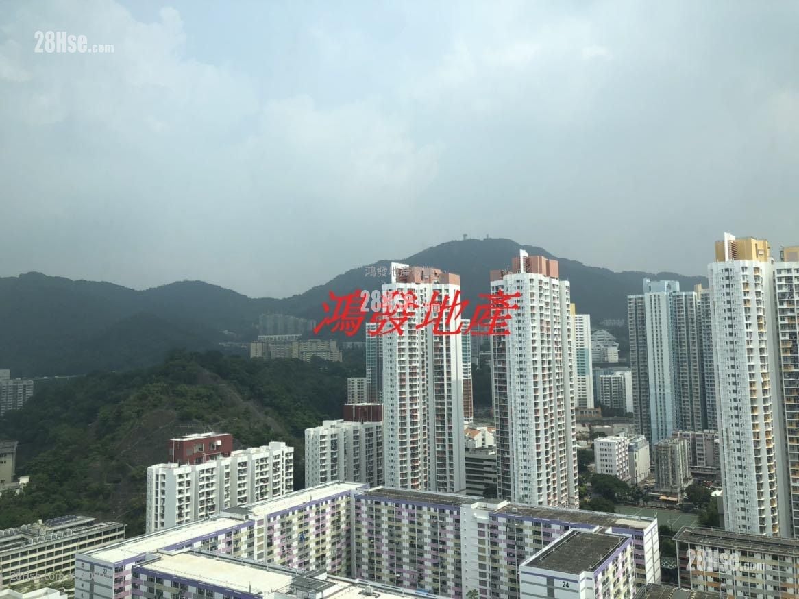 AVA61 租盘 开放式间隔 , 1 浴室 150 平方尺