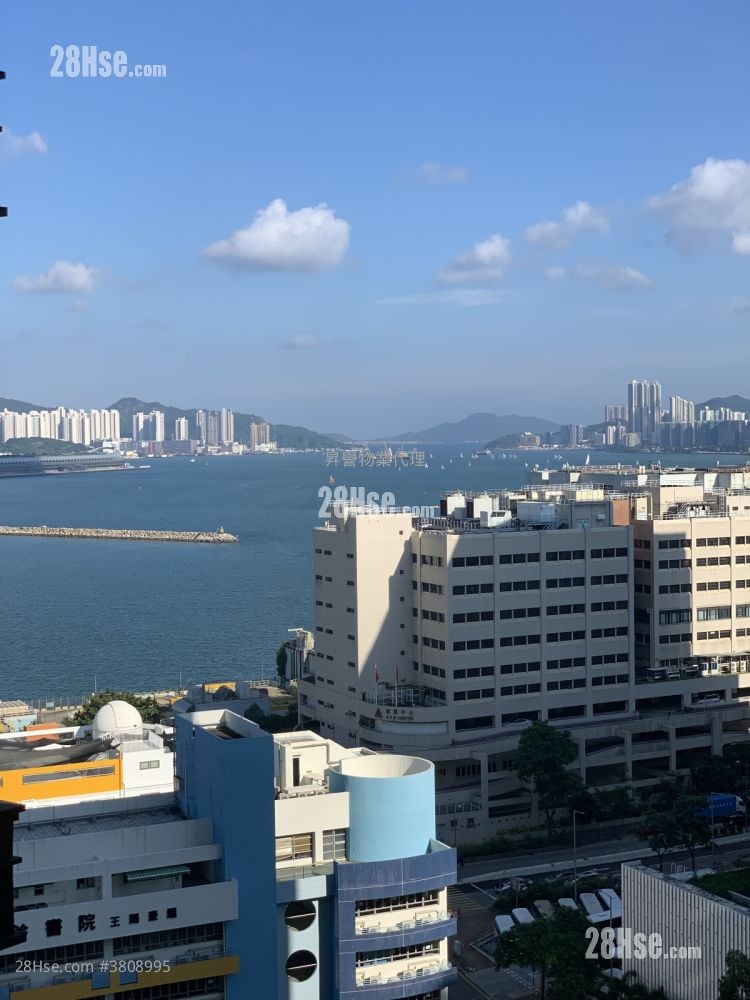 環海東岸 租盤 1 房 307 平方呎