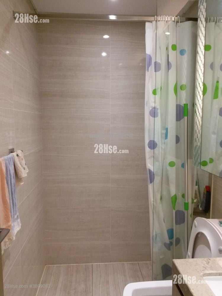 The Spectra Sell 1 Bedroom 392 ft²