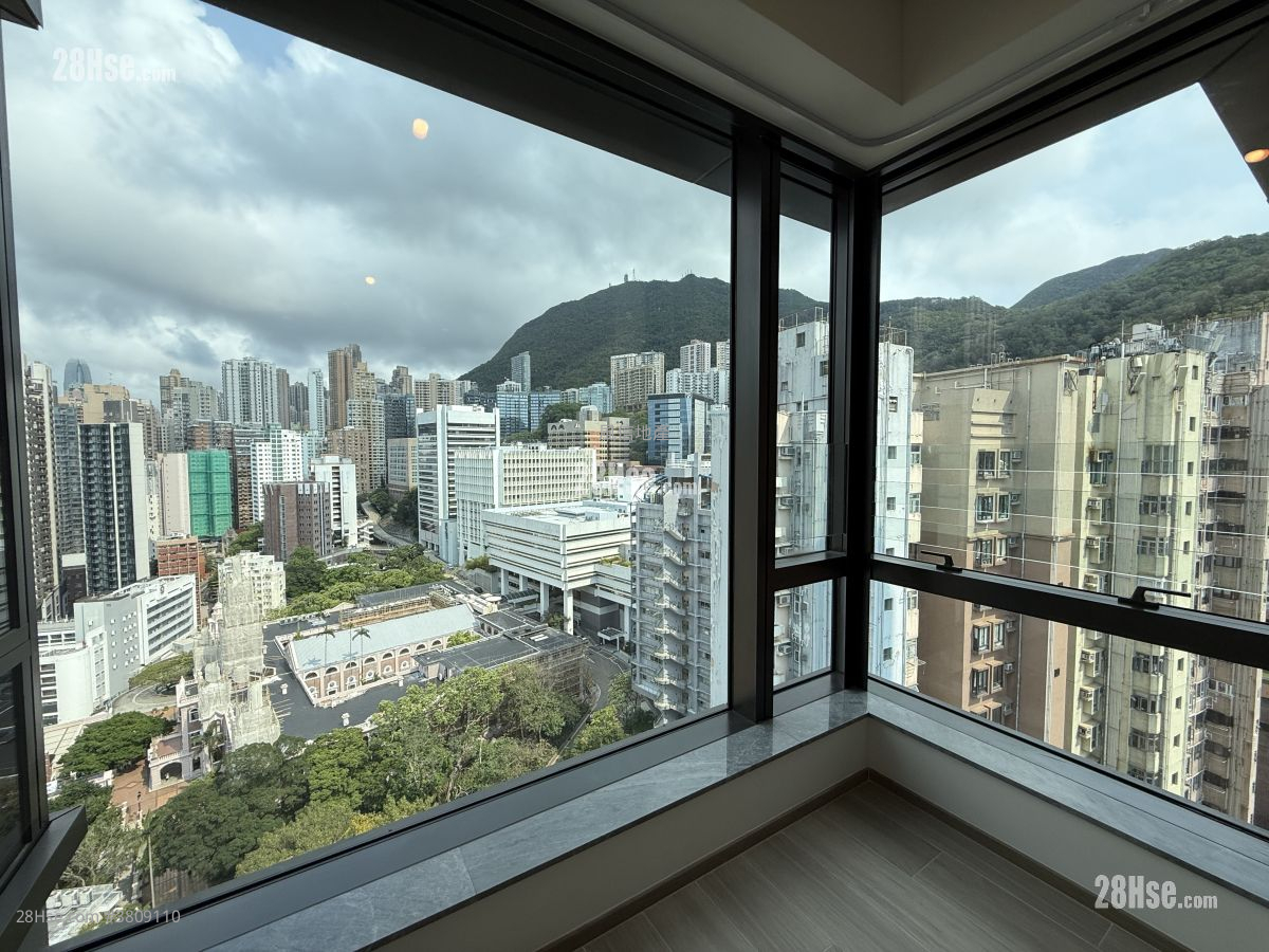 The Hilltop Rental 2 Bedrooms , 1 Bathroom 475 ft²