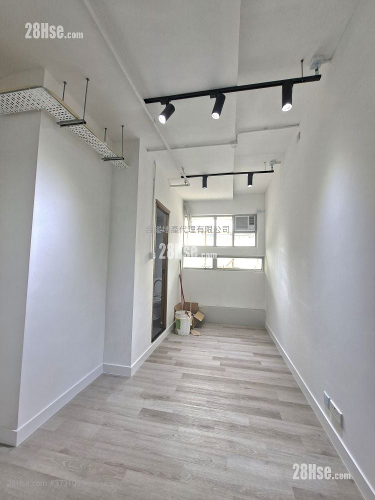 骆驼漆大厦 租盘 5+ 房 , 5+ 厕所