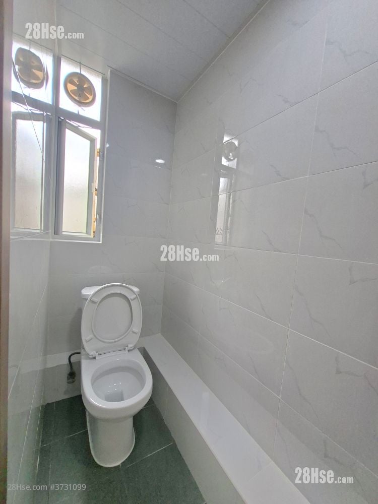 骆驼漆大厦 租盘 5+ 房 , 5+ 厕所