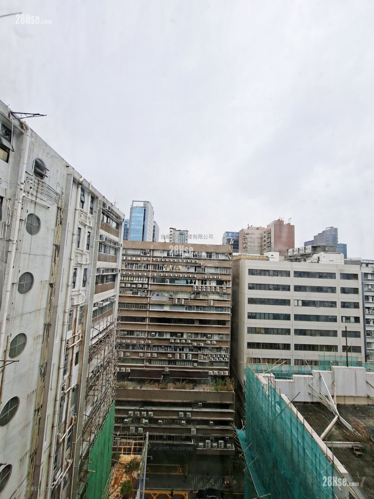 骆驼漆大厦 租盘 5+ 房 , 5+ 厕所